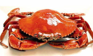 爱吃螃蟹的有福啦 看看怎么吃螃蟹最营养 