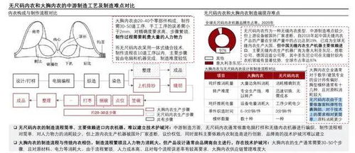 无尺码内衣爆火,但秘诀不是无尺码