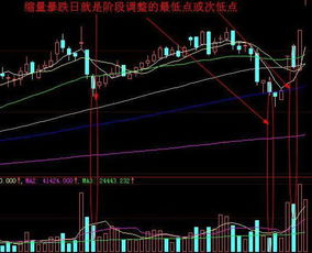 暴涨后暴跌的股票是抛还是留