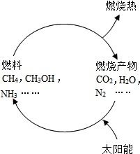 详解能源危机