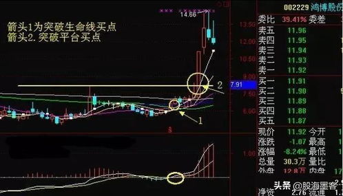 户深b股票为何全部涨停