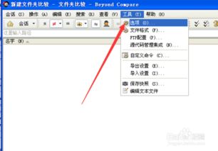 bcompare beyond compare破解版 文件对比工具 v4.2.4 中文版 起点软件园 