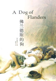 佛兰德斯的狗,佛兰德斯的狗小说
