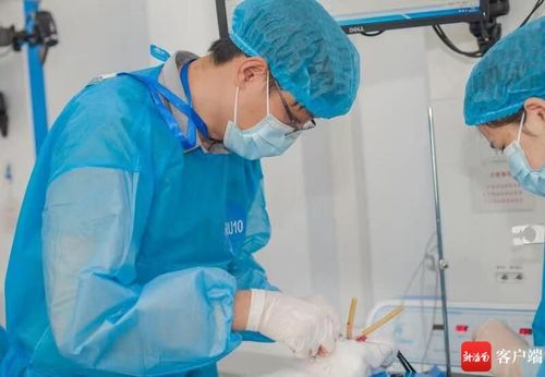 海南医学院举行 世界实验动物日 纪念活动 
