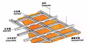 为什么寻找龙骨怎么老是找不四号龙骨