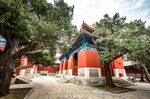 中国最多皇帝题字的孔庙,位于首都北京,现为著名旅游胜地