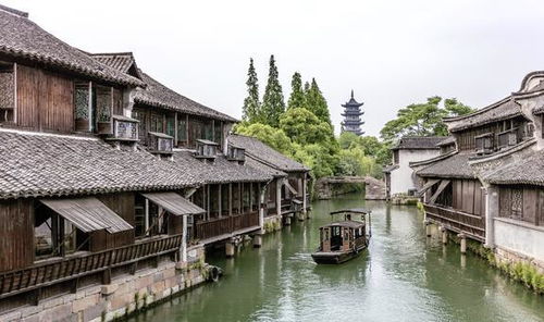 浙江旅游网红名宿