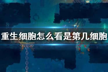 心得秘籍 视频解说 流程 技巧 游戏攻略大全 