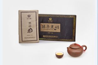 华莱黑茶上海茶博会,华莱黑茶对肠胃病患者有疗效?