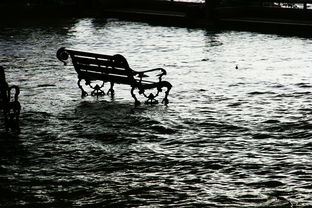 洪水,座位,椅子,长凳,水,水浸,危险,天气,湿,河,安全,户外,环境,极端,自然,滑,沉默,单 