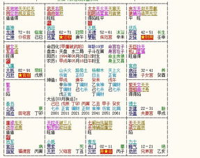 请仔细说说这个紫薇命盘 不要入手大众心理说无用的,贵在实在 