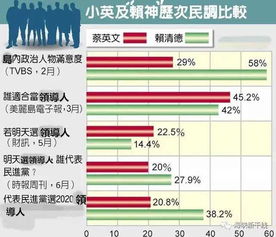 独派 民调赖清德领先蔡英文,2020赖清德直上 大位