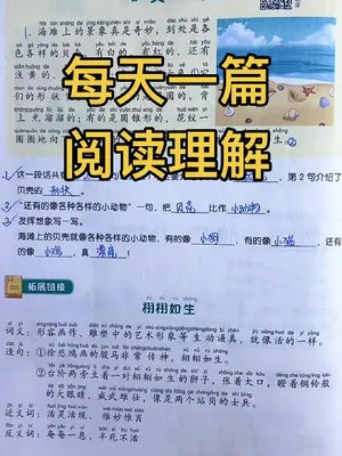 清华校长建议,每天一篇阅读理解,语文不用报补习班,既能提升语文成绩,又能提升识字量和阅读能力,好词好句作用写作 学霸秘籍 