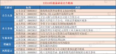 维加诺公司60%的股权 多少钱