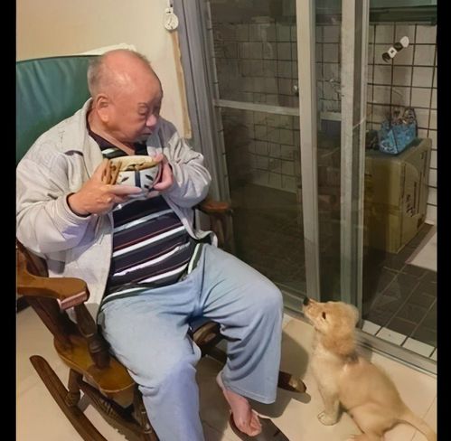老爷爷自从养了只狗狗后,就只能站着吃饭了,不仅心累身体也累