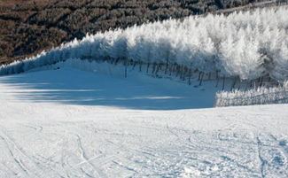 等降温,我们一起滑雪去