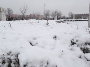 向高手请教,怎样拍出美妙的雪景