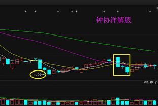 漳州发展这支股怎么样！下周走势将会如何？