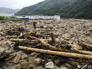 福建邵武 灾情重救灾忙