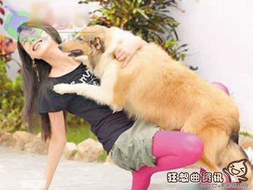 女子与狗欢爱意外身亡,狗的精液为什么会使人过敏