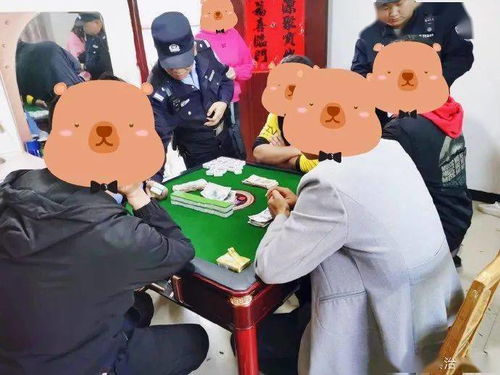 快速查处一桩赌博案 金寨五人当场被抓获