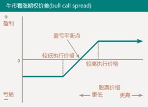 为什么可转换证券其实是一种普通股票的长期看涨期权？