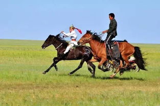 马的奔跑速度,马的奔跑速度是多少千米每小时