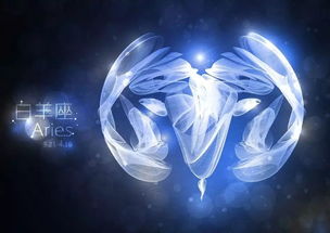 12星座为什么不回复你的消息 超准