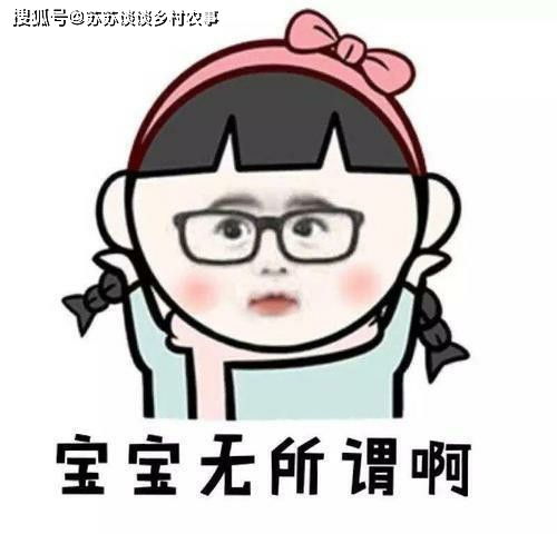 搞笑GIF段子 老铁 你是迷路的小狮子吗