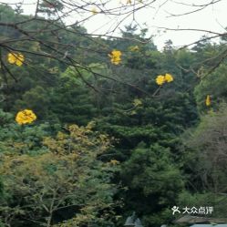 广州白云山风景区去哪里停车好(白云区柯子岭附近免费的停车场)