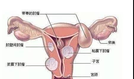 行恩不要了太深 硕大深入子宫