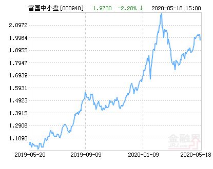 富国中小盘精选混合 (000940)如何