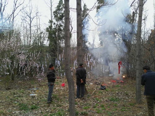 清明节上坟可以上两次吗(清明可以上两次坟有什么坏处)