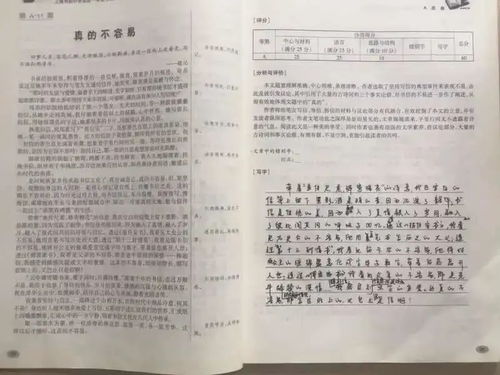 上海一中考作文因仿写被评定为0分 无思考的写作怎么会有未来