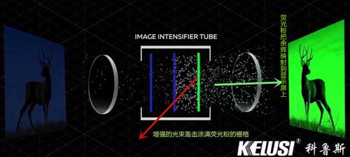 挑选热成像红外线夜视仪的完美指南