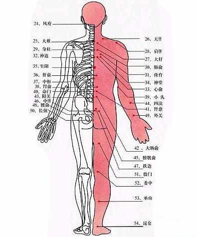 人体经络冷知识(人体经络的作用)