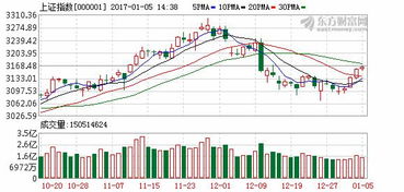 央企控股开采砂石有关的股票