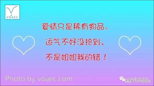 英语专业女生找不到对象的32条理由 字字戳心,句句入骨