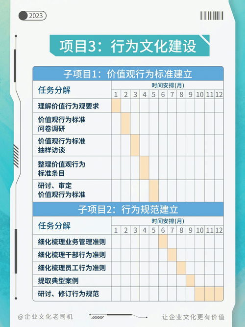 企业文化项目如何系统规划附时间安排 
