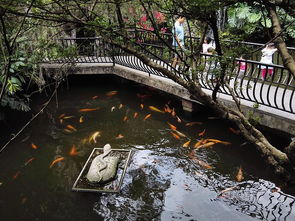 荔枝湾畔一日游记