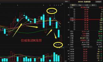 信威集团这支股票怎样？