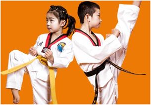 江苏星锐体育 改变孩子坏习惯从练习跆拳道开始 