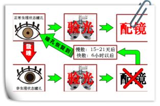 视力不好,9岁,快散验光好还是慢散好 