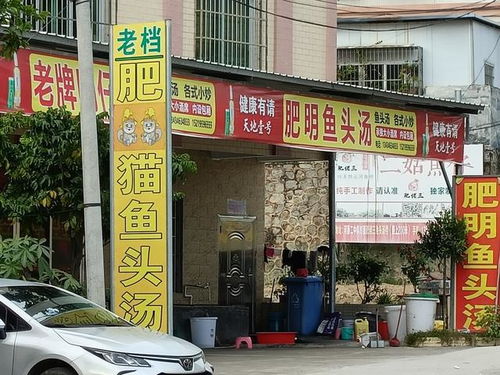 廉江河唇鱼头汤的店名大多带一个 肥 字,大头鱼汤太美味了