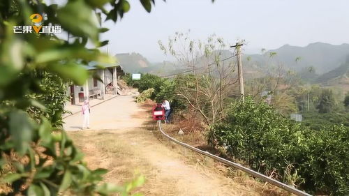 湖南怀化洪江岩垅乡