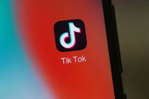 TikTok广告投放以后，怎样让用户产生互动行为_TikTok账号代运营