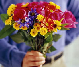 给女朋友买花买什么花(送花给女朋友送什么花)