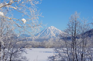 雪之盛宴，描绘大雪纷飞的奇景，描写大雪纷飞的词语都有哪些