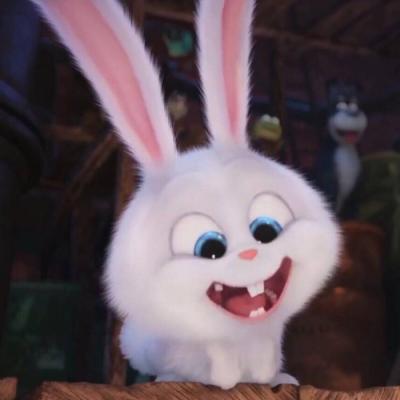 爱宠大机密兔子头像高清 兔子的表情邪恶又可爱