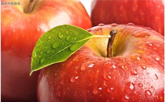 零下6℃苹果会不会冻,苹果在冷下6一12度能冻坏吗？